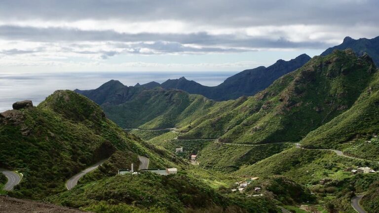 Excursiones que descubren la diversidad tinerfeña