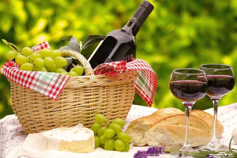 El enoturismo como experiencia cultural y económica en España