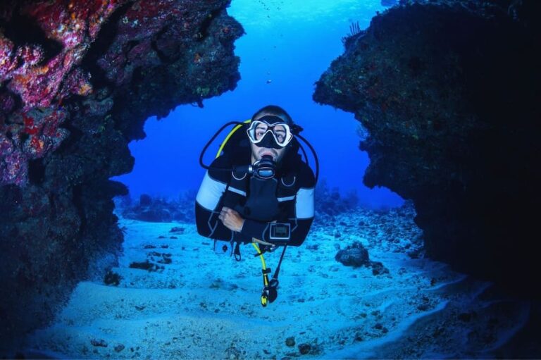 Buceo en Europa descubre nuevas aventuras bajo el mar con seguridad y diversión
